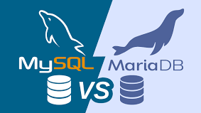 群晖主副MariaDB/SQL数据备份
